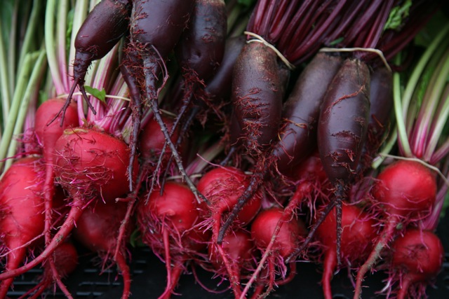 Beet photo